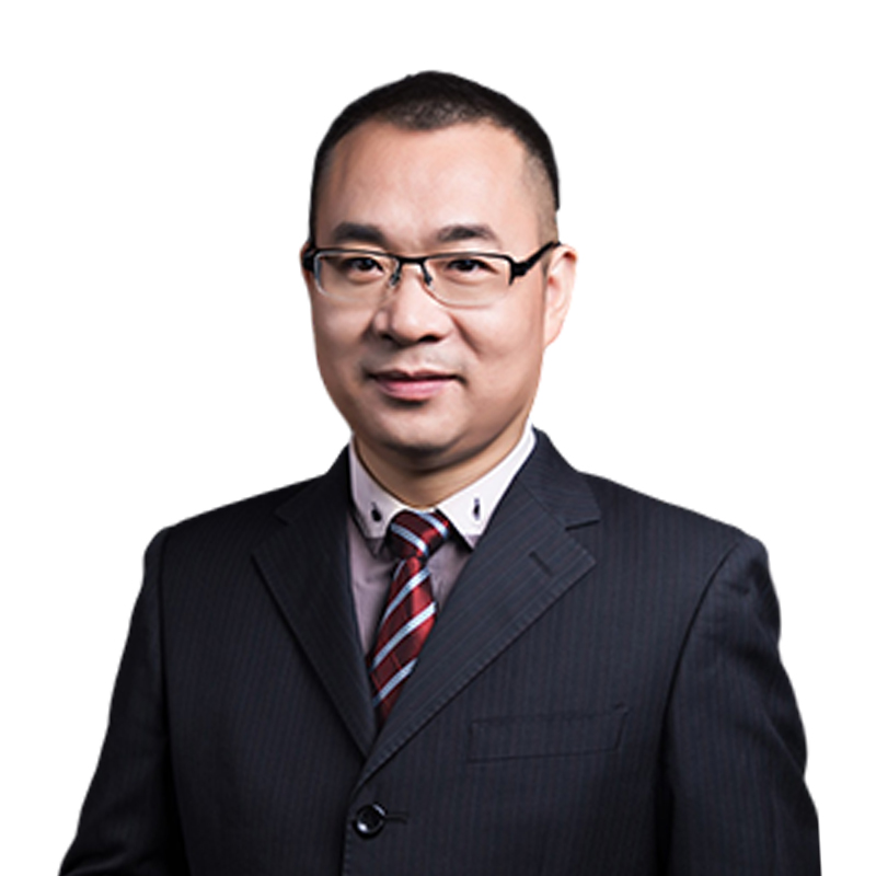 师资团队