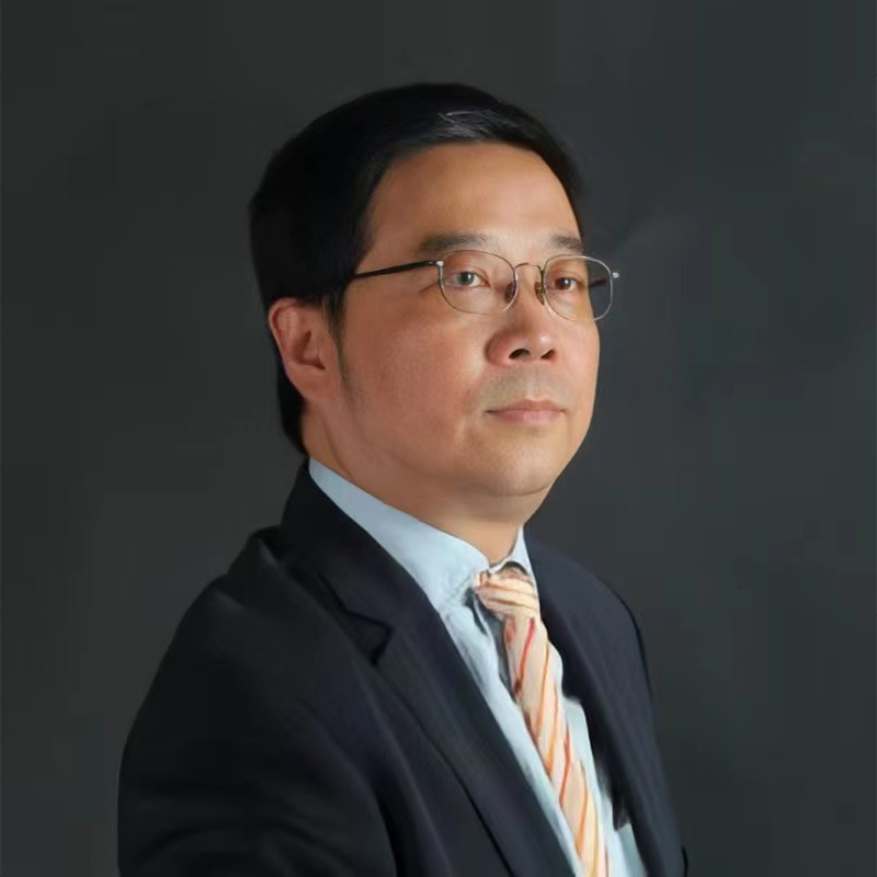 师资团队